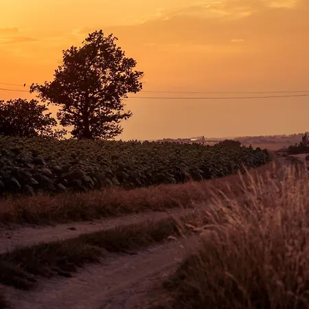 Hébergement de vacances Maison Tilia *